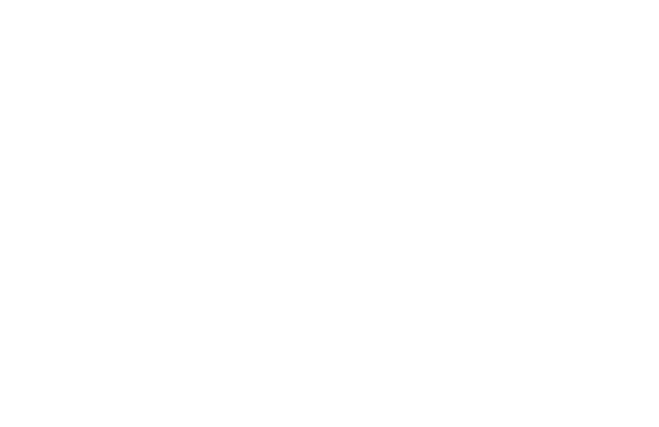 Everest Accounting